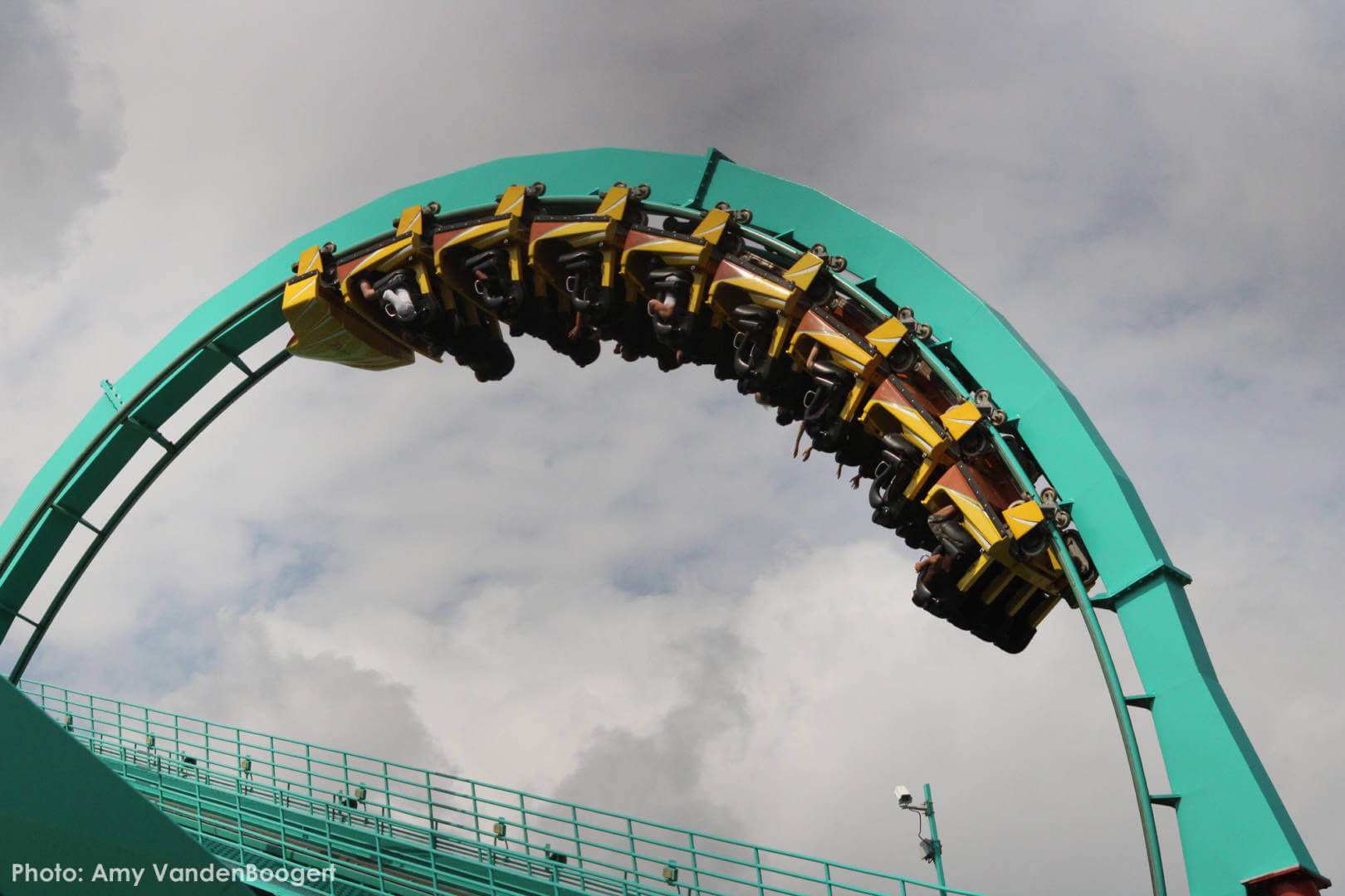 , Busch Gardens Tampa Update: Troubles in Paradise