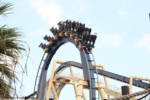 Busch Gardens Tampa Montu