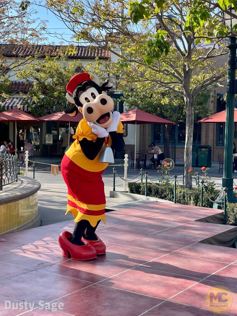 , Disneyland Update Part 2: CODE YELLOW!!!