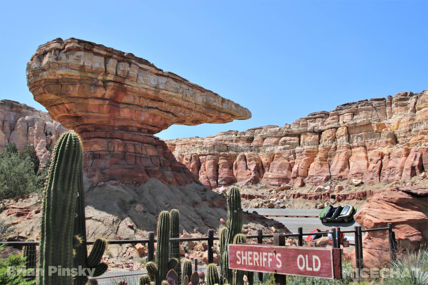 , Disneyland Update – You Snooze You Lose!