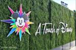 DCA_Taste of Disney_Bush logo
