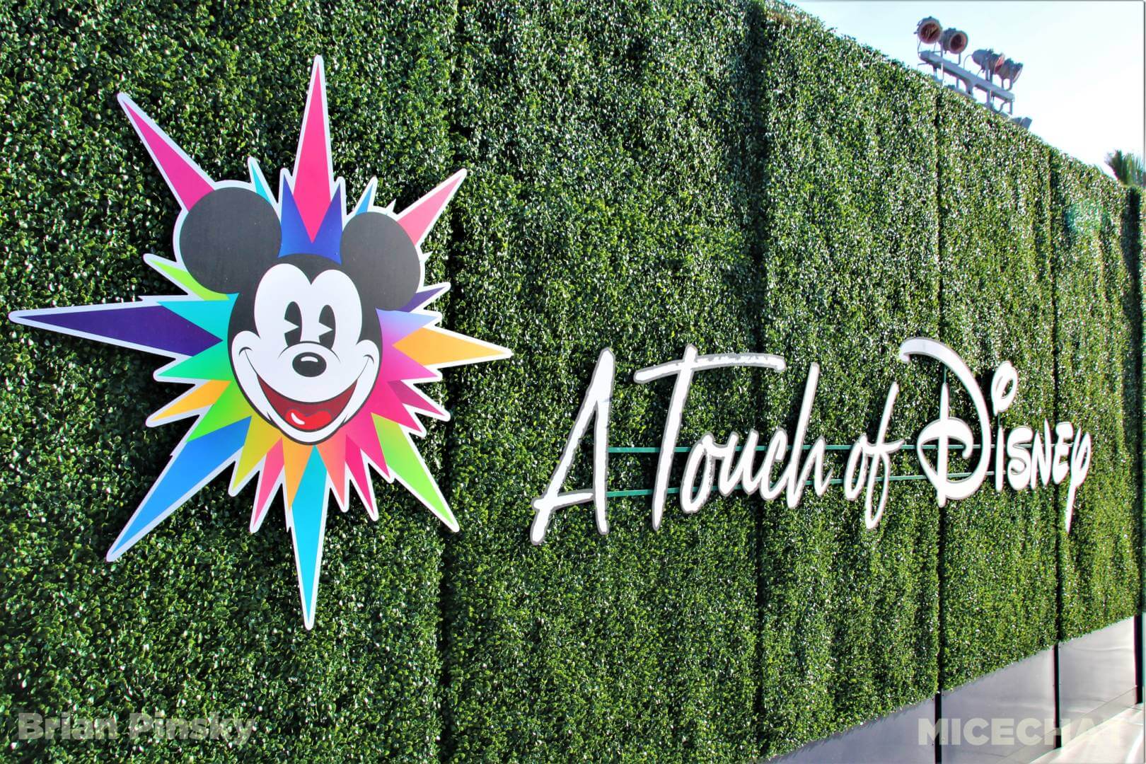 , Disneyland Update – You Snooze You Lose!