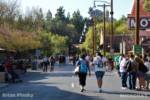 DCA_Taste of Disney_Crowd Shot Cars Land Back
