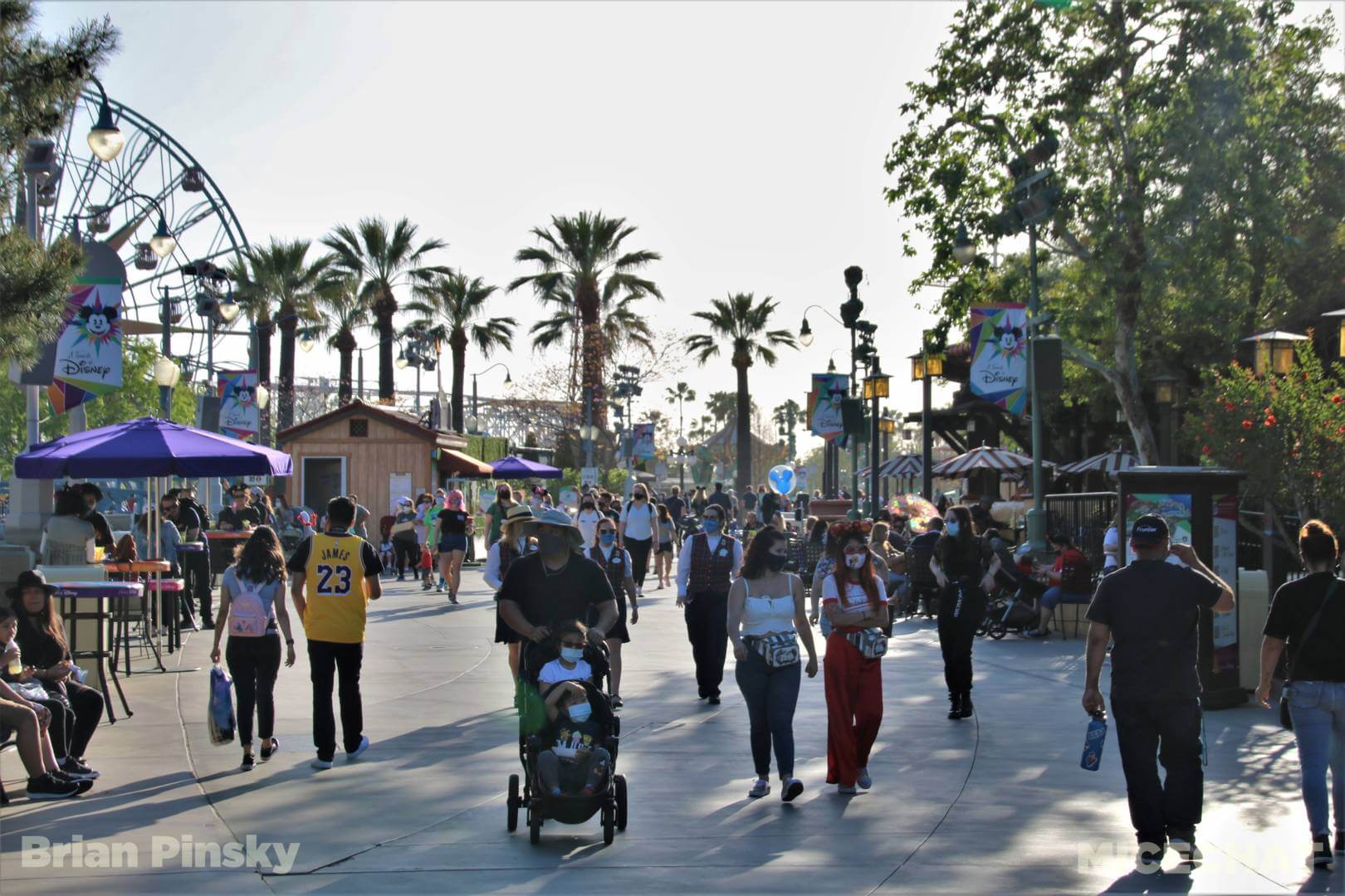 , Disneyland Update – You Snooze You Lose!