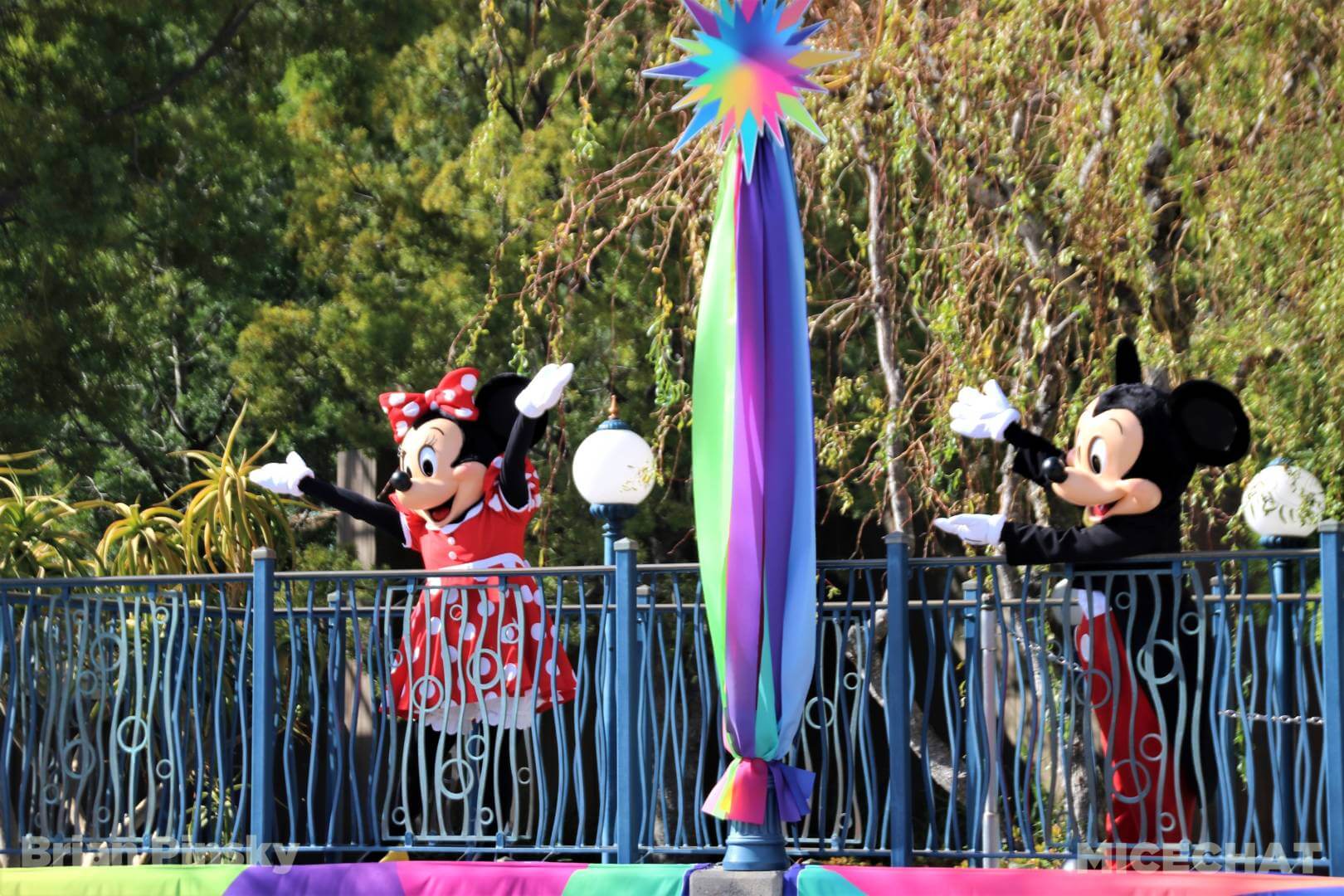 , Disneyland Update – You Snooze You Lose!