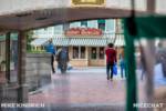 Disneyland Showcase (1 of 1)