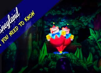 Disneyland Reopened – Highs and Lows & What You Need To Know
