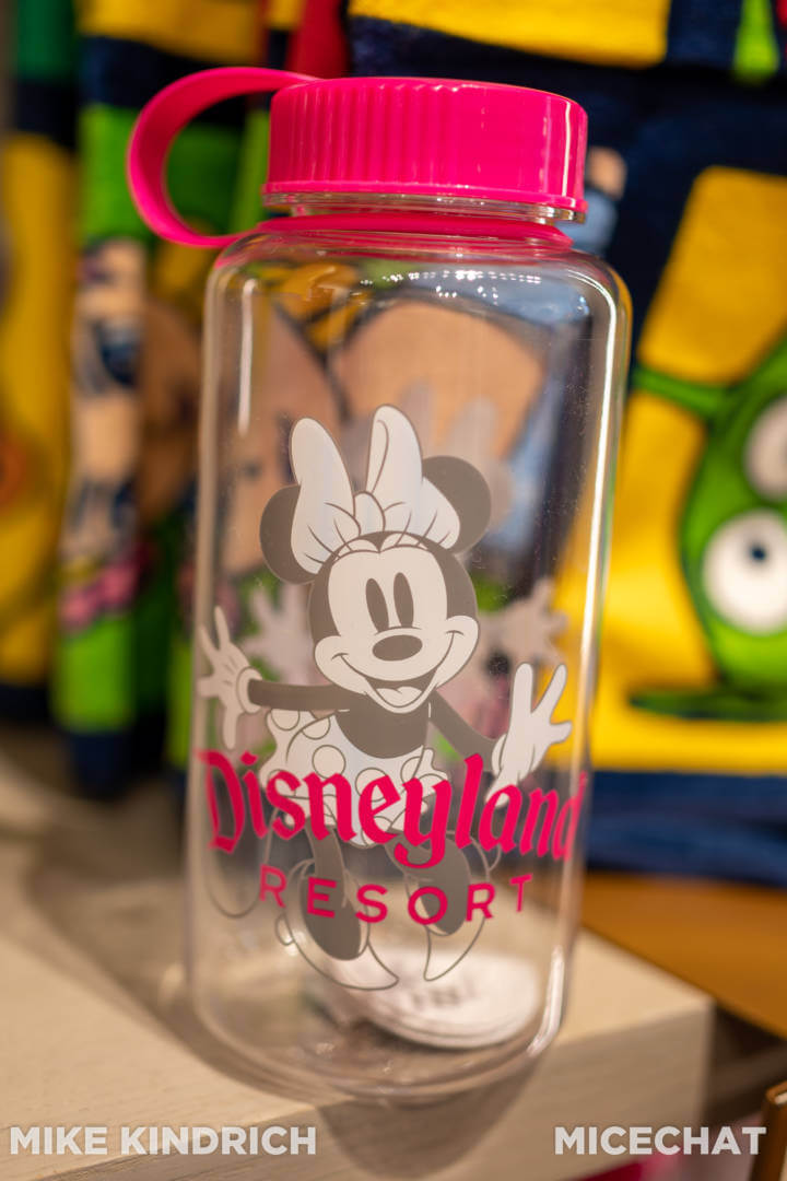 Disney's Classic Mickey & Minnie Mouse Water Bottle