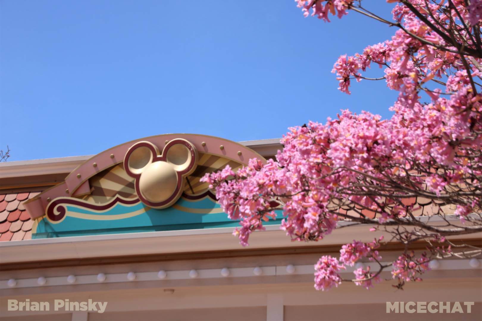 , Disneyland Update – All Magic Comes At A Price