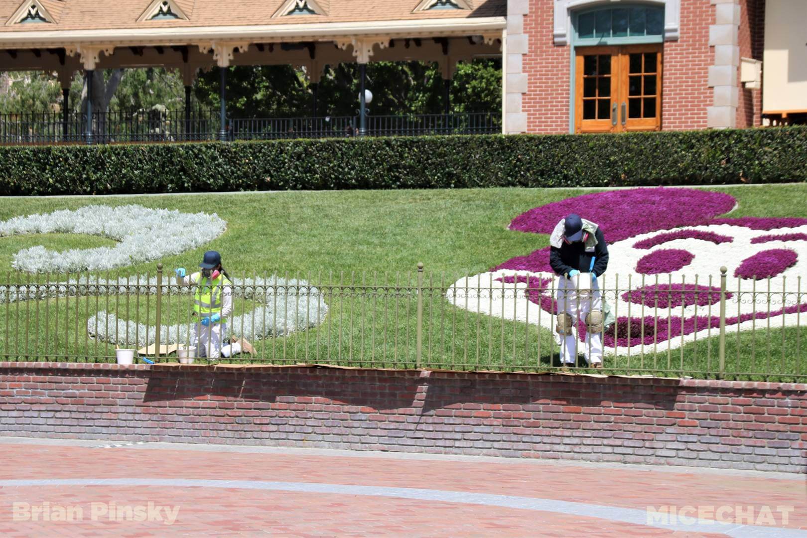, Disneyland Update – You Snooze You Lose!