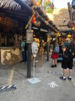 Disneyland_Tropical_Hideaway_Line