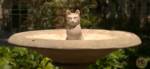 Haunted Mansion New Cat Birdbath Toombstone