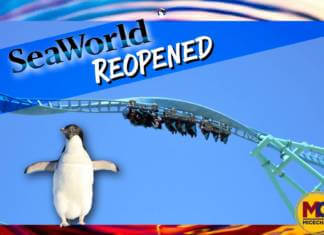 SeaWorld San Diego Reopens With Rides and Welcomes Out-Of-State Visitors