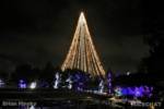 SeaWorld San Diego_Sky Tower_night