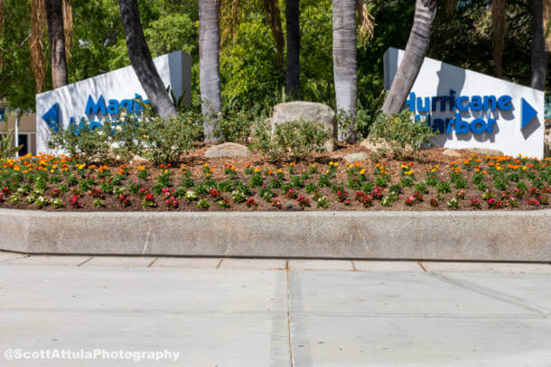 , Six Flags Magic Mountain Relaunch Hits Highs and Lows