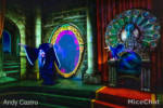 Snow-white-disneyland-evil-queen-transformation