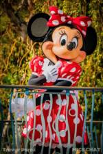 Trevor – Minnie Mouse – Posed