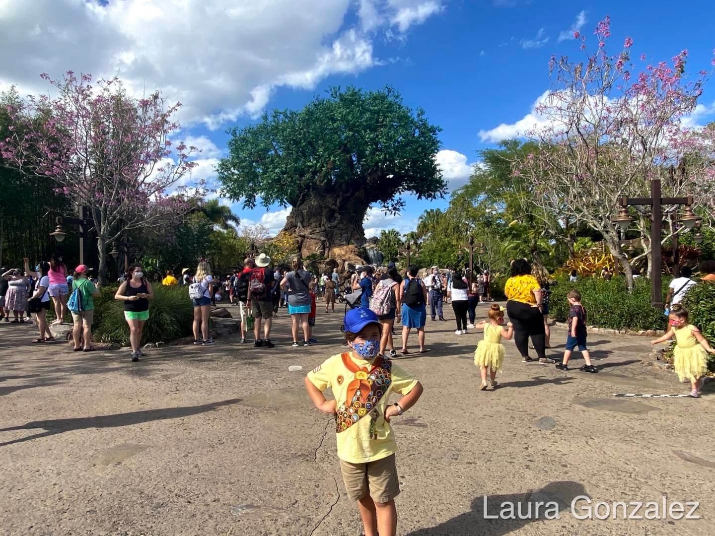 , The Secrets of the Tree of Life at Disney&#8217;s Animal Kingdom