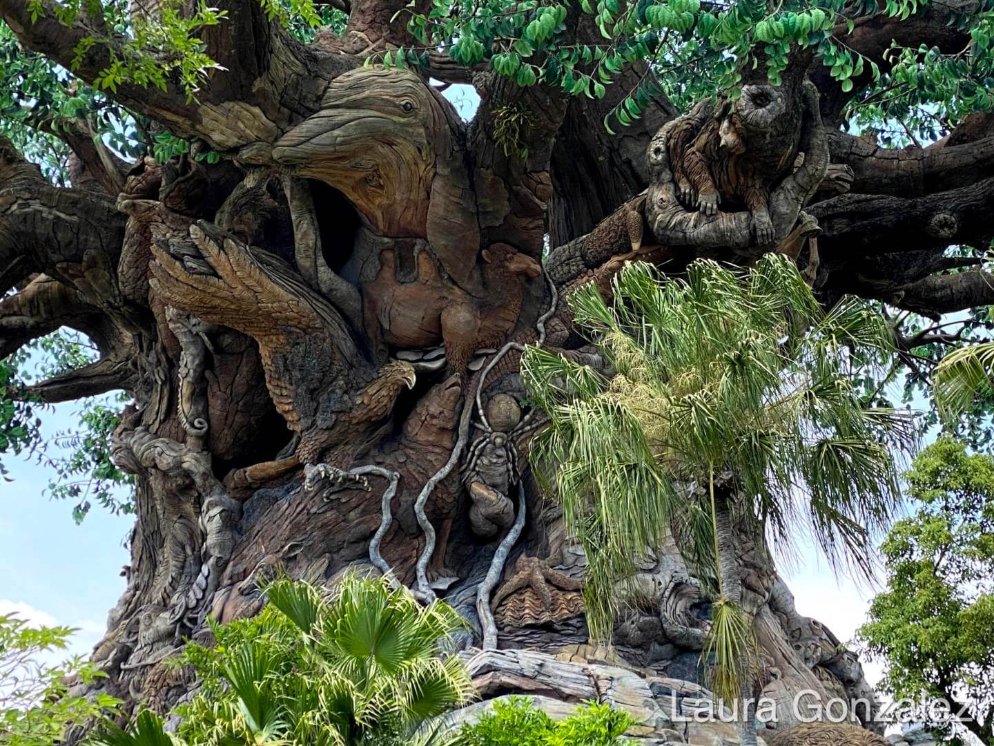 , The Secrets of the Tree of Life at Disney&#8217;s Animal Kingdom