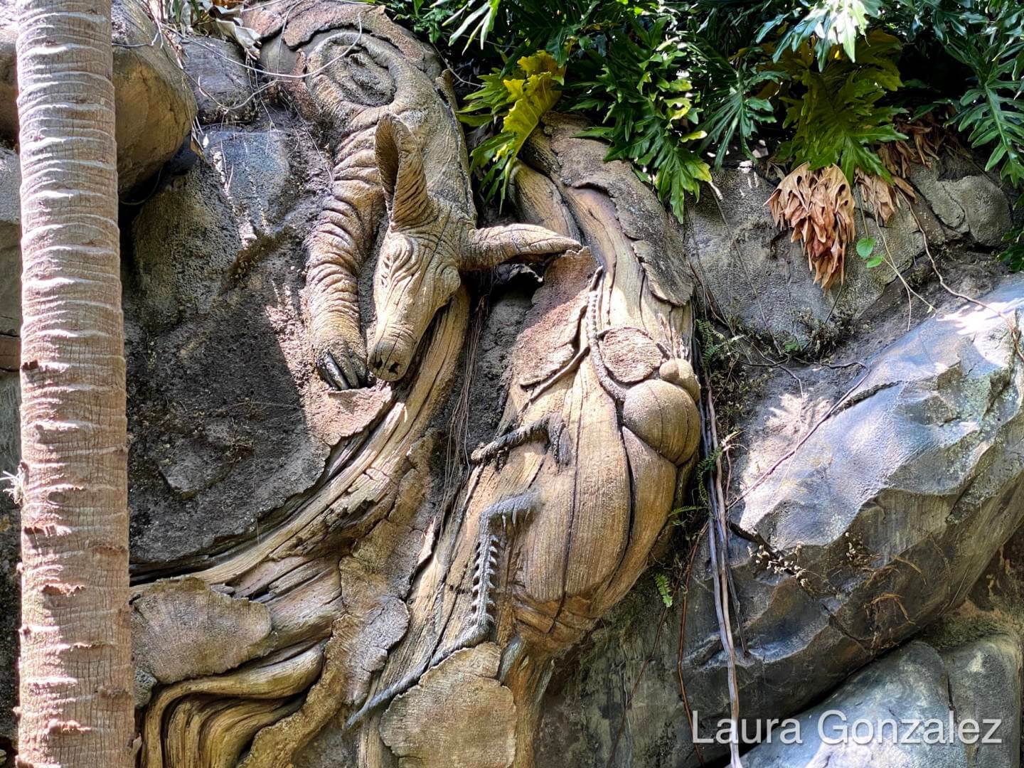 , The Secrets of the Tree of Life at Disney&#8217;s Animal Kingdom