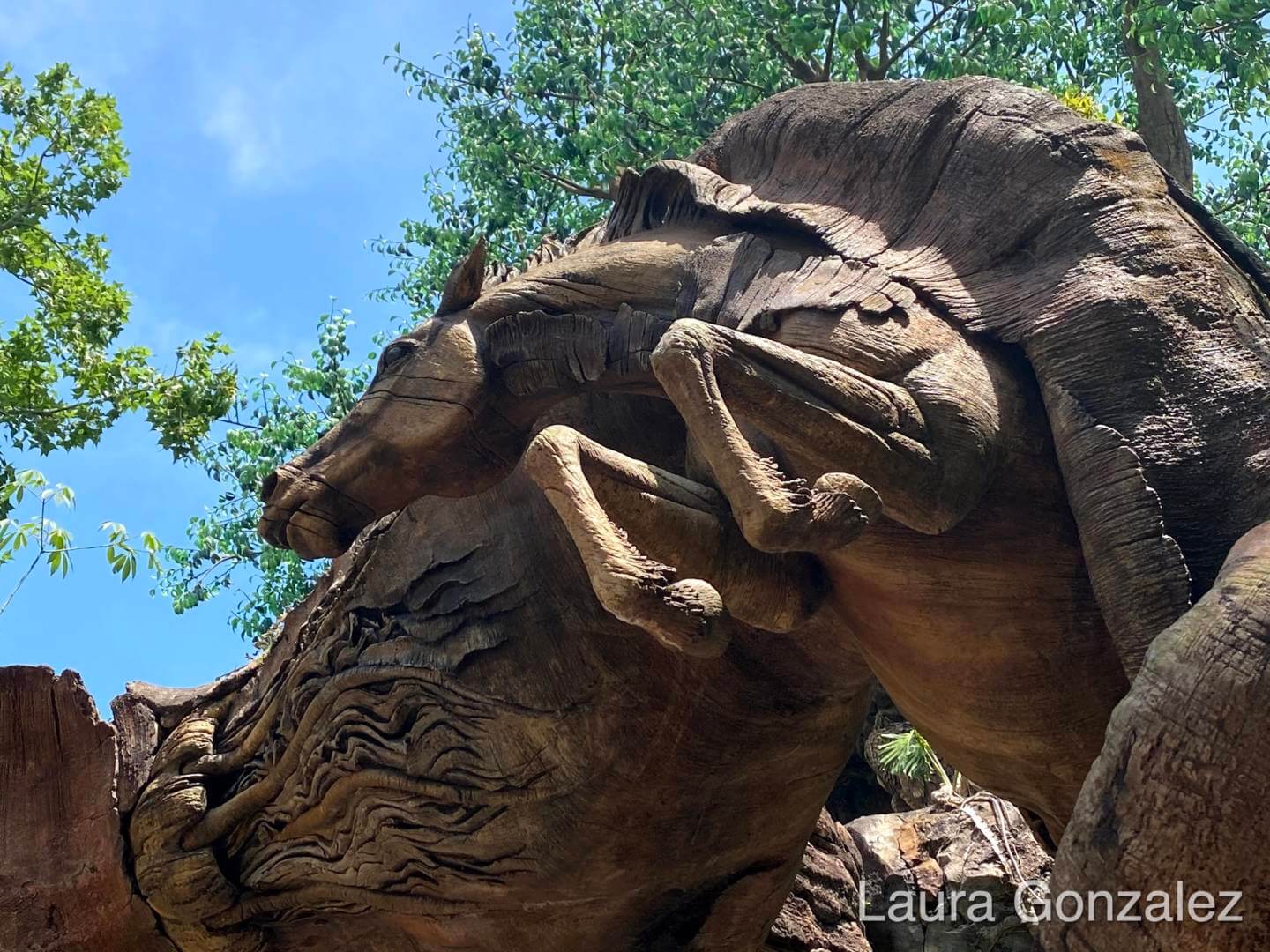 , The Secrets of the Tree of Life at Disney&#8217;s Animal Kingdom