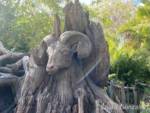 WDW-Animal-Kingdom-Tree-of-Life-4