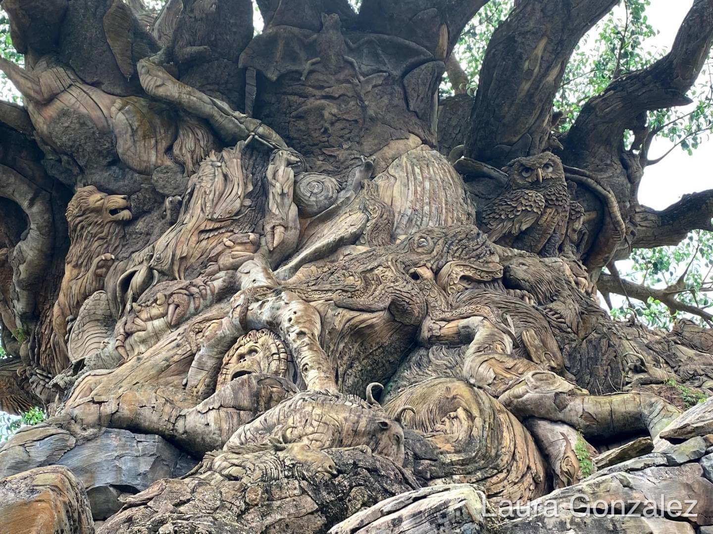 , The Secrets of the Tree of Life at Disney&#8217;s Animal Kingdom