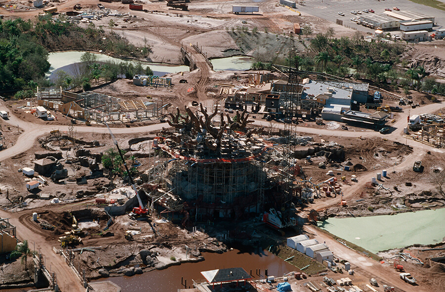 , The Secrets of the Tree of Life at Disney&#8217;s Animal Kingdom