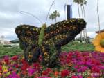 WDW-Epcot-2021-Flower-Garden-9