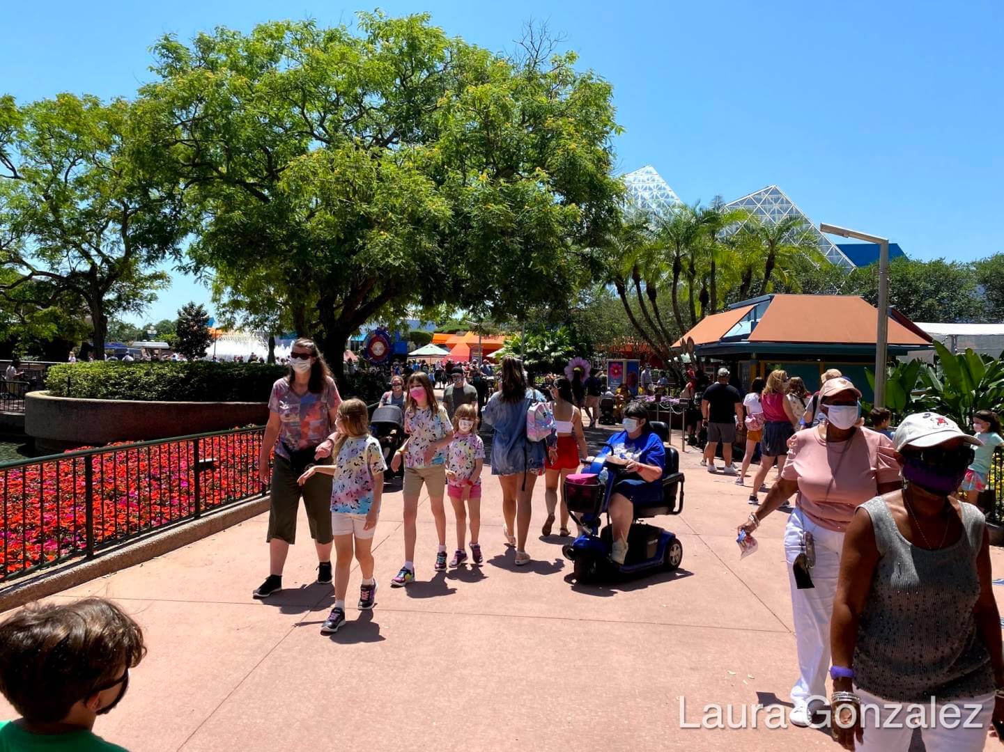 , Walt Disney World Update – New Reasons to Smile