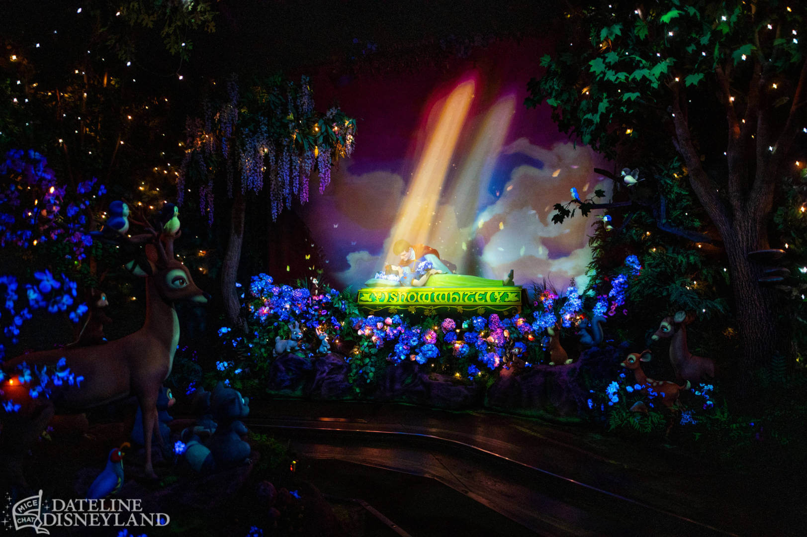 , Disneyland is Back! &mdash; FIRST LOOK at New Magic and Big Changes