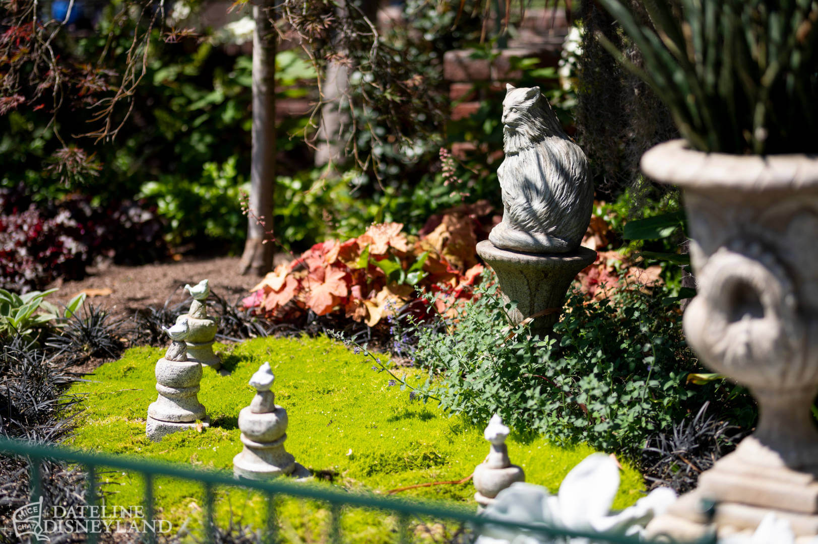 , Disneyland is Back! — FIRST LOOK at New Magic and Big Changes