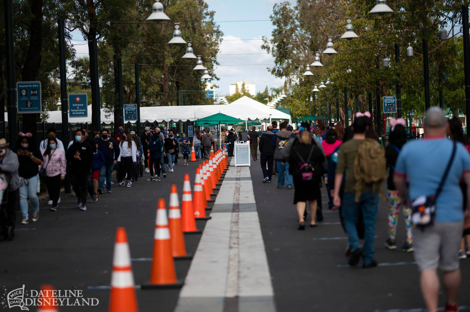 , Disneyland is Back! — FIRST LOOK at New Magic and Big Changes