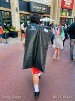 Avengers Campus Costumes Downtown Disney 2-micechat
