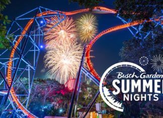 Busch Gardens Tampa’s Summer Nights Sizzles