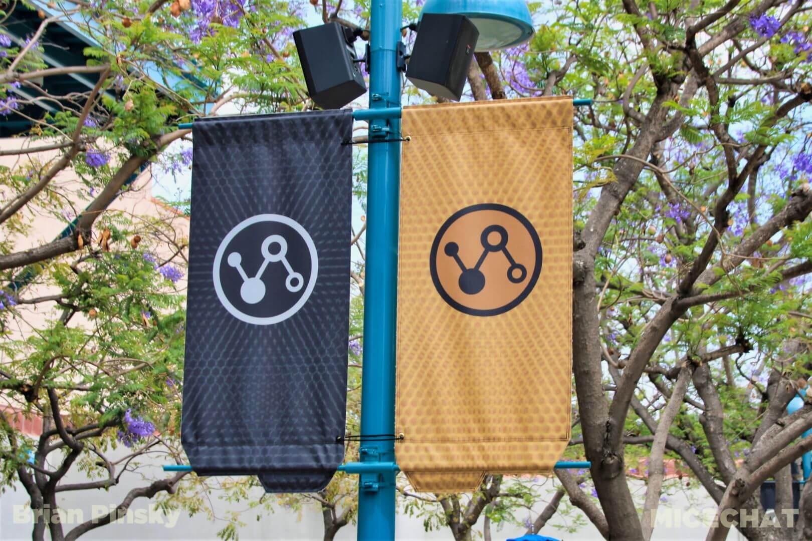 , Disneyland Update Part 2: CODE YELLOW!!!