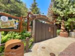 Disney California Adventure Refurbishment Redwood Creek Front-micechat