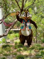 Disney California Adventure characters Chipmonks closeup-micechat