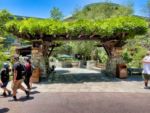 Disney California Adventure news grand californian entry reopened