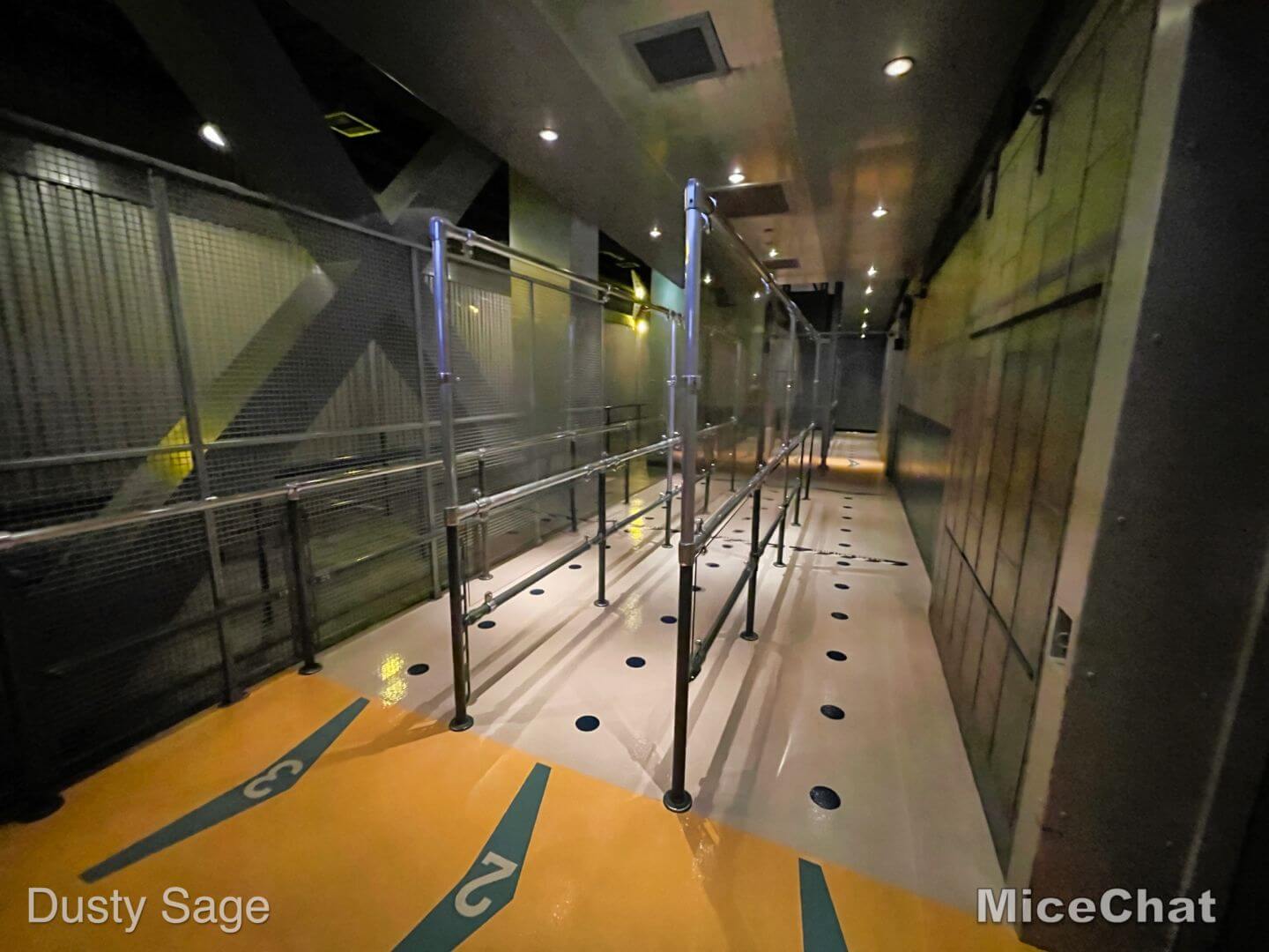 , Disneyland Update – Very Nearly Normal (for Better or Worse)