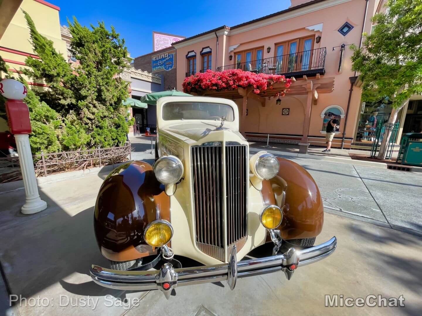 , Disneyland Update – Hurry Back!