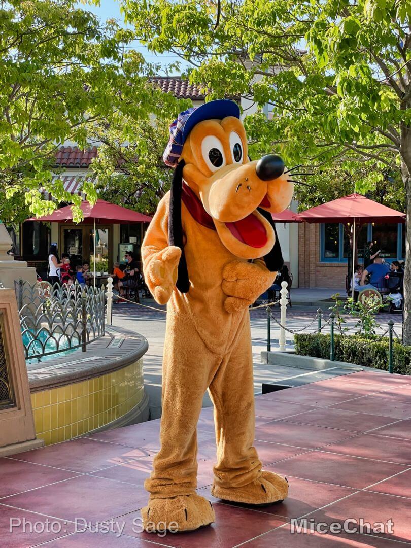 , Disneyland Update – Hurry Back!