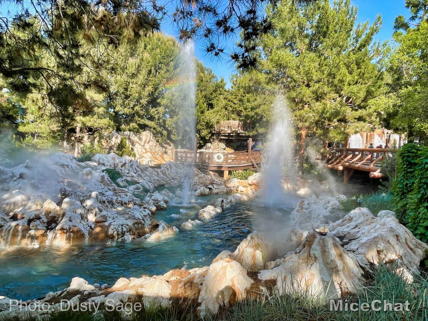 , Disneyland Update – Hurry Back!
