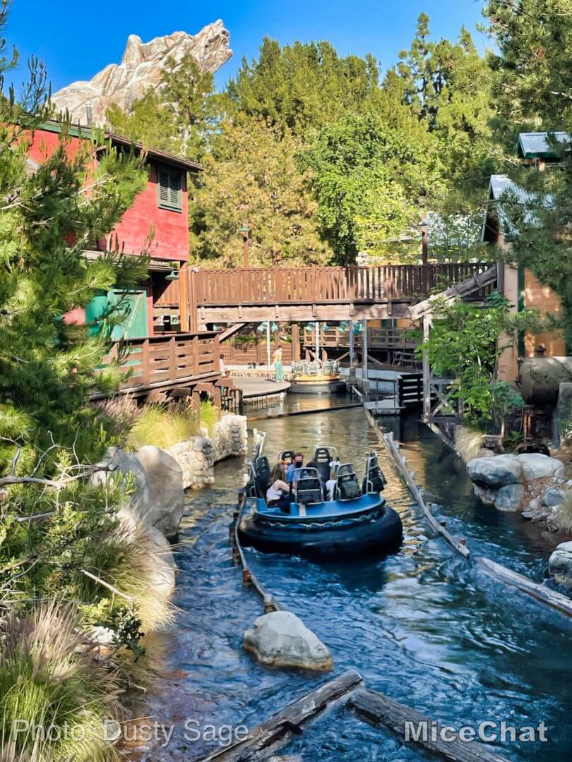 , Disneyland Update – Hurry Back!