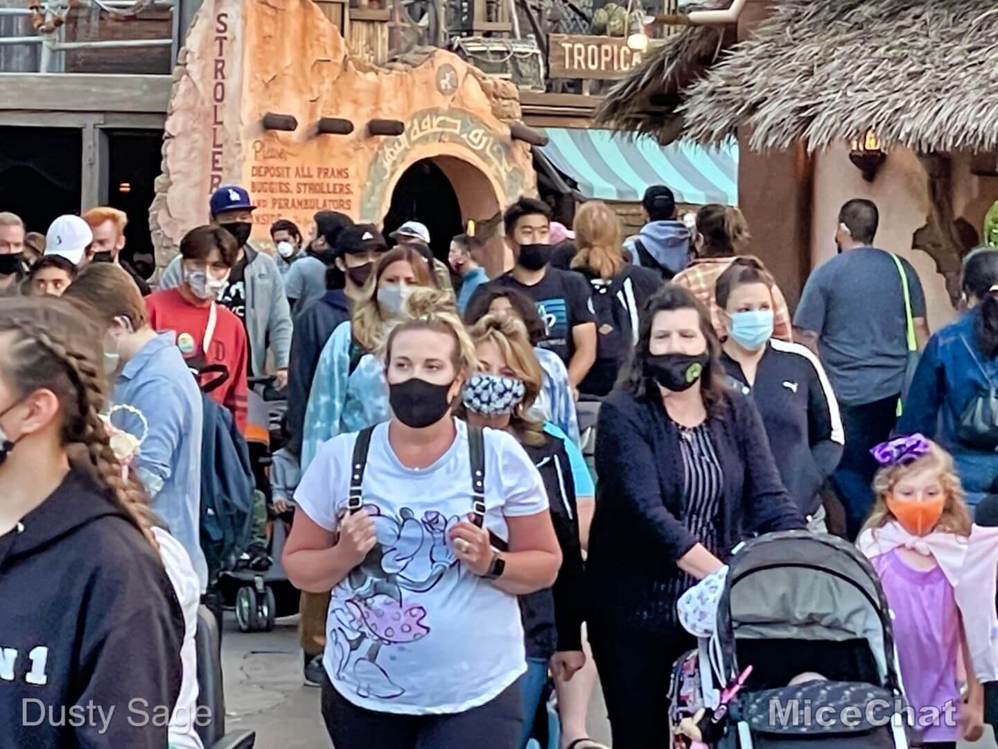 , Disneyland Update &#8211; Very Nearly Normal (for Better or Worse)