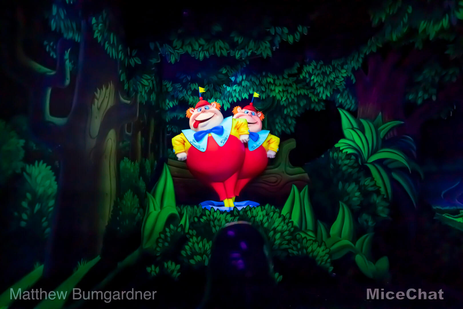 , Disneyland Update – Hurry Back!