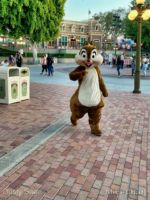 Disneyland Characters Chip and Dale Main Street-micechat