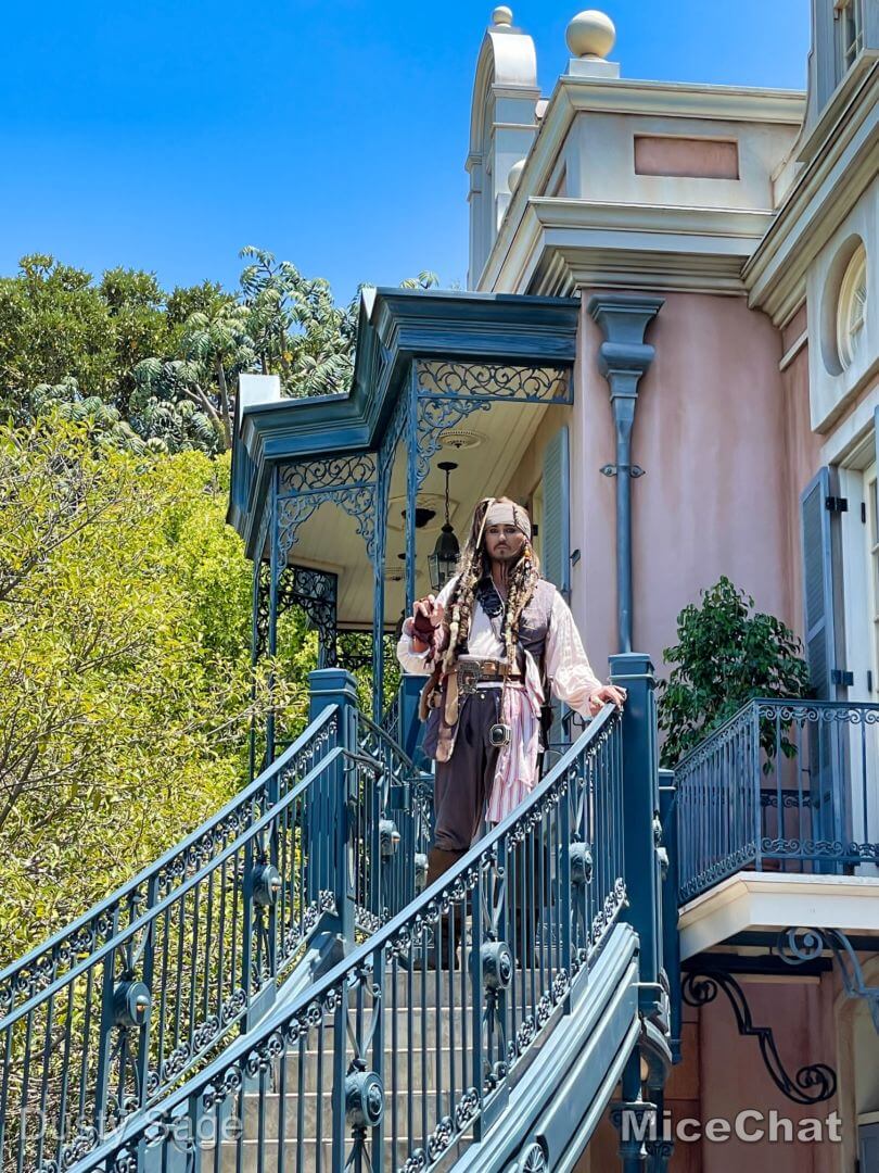 , Disneyland Update – Less is More, More or Less
