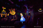 Disneyland Fantasyland Alice Which Way 1-micechat