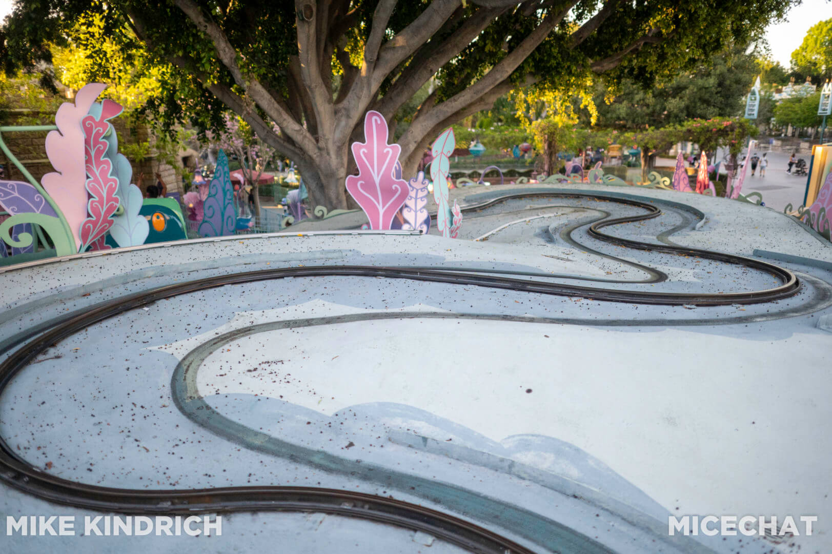 , Disneyland Update – Less is More, More or Less